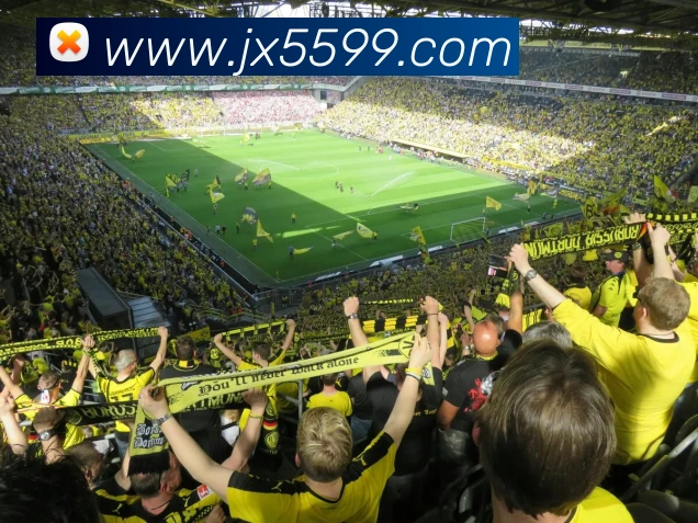 多媒体互动体验